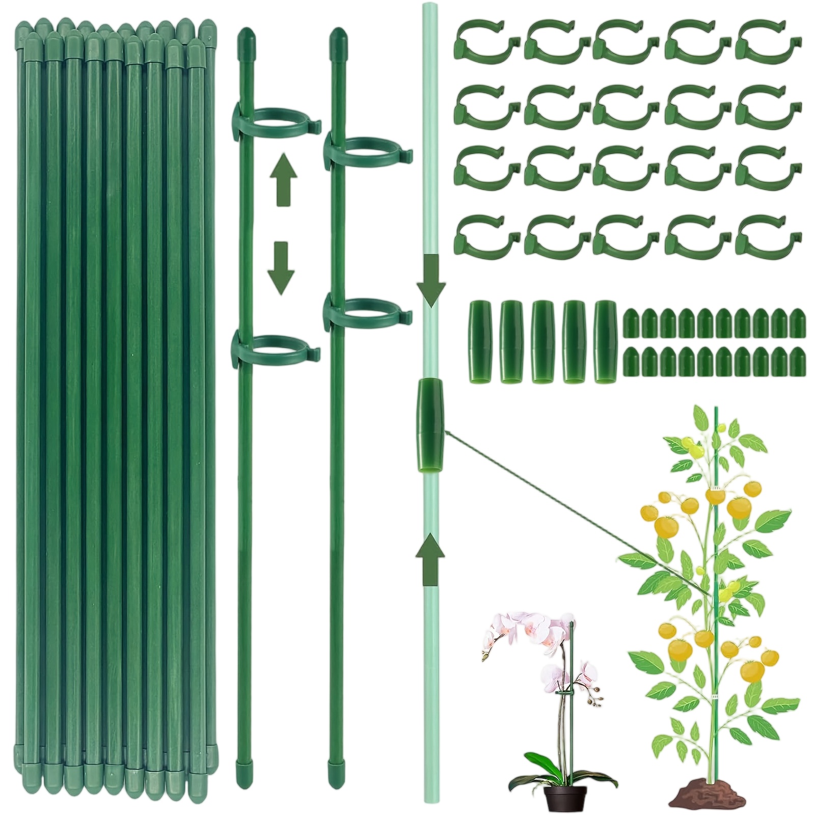 Florist Supply Bulk - Estacas de Suporte para Plantas, Suporte