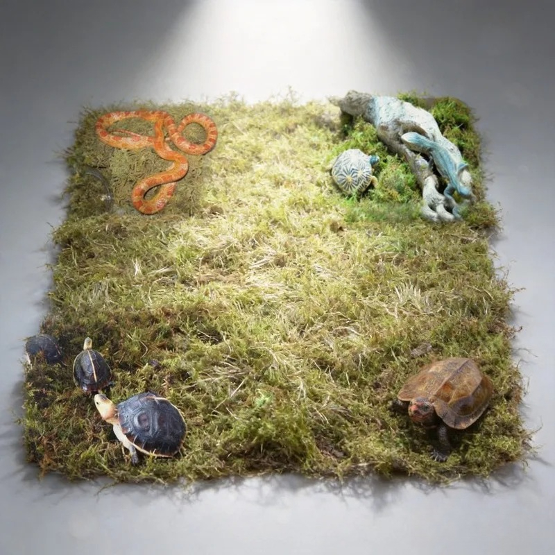 Preserved Moss Sheet - Musgo Seco Natural para Terrário de