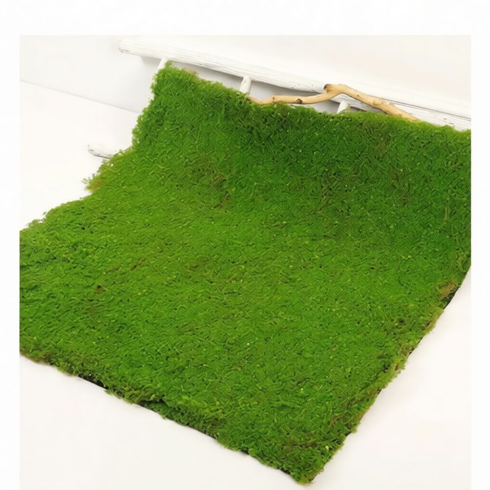 Tapete de musgo artificial, fo - Preserved Moss Sheet avaliação e preço