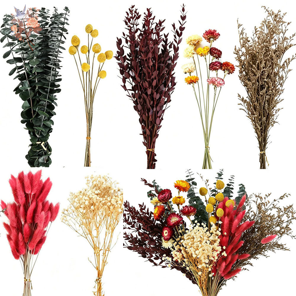 Conjunto de Flores Secas a Gra - Florist Supply Bulk avaliação e preço