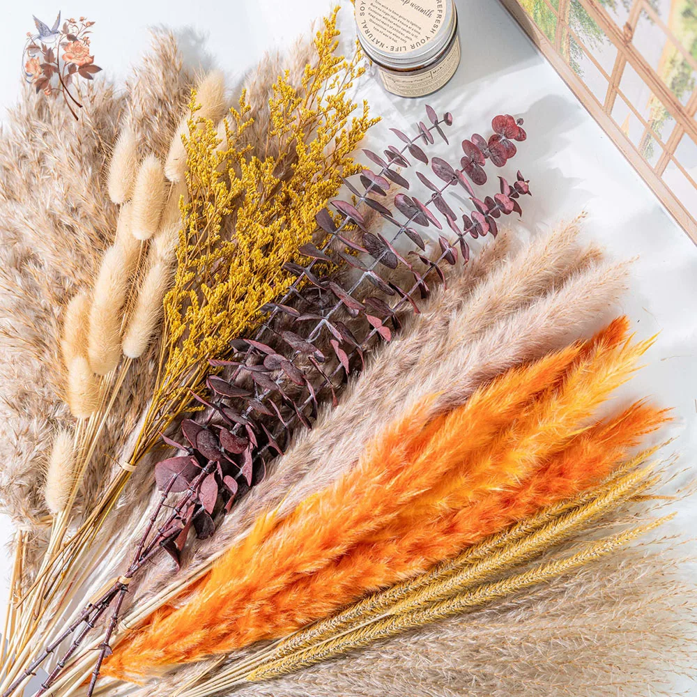 60 peças de flores secas de er - Eucalyptus Preserved avaliação e preço