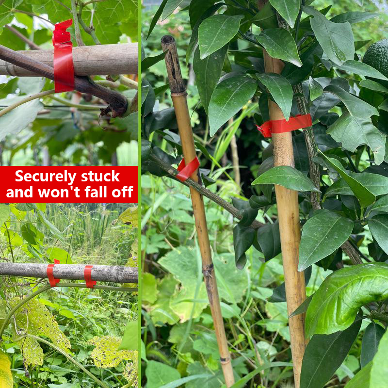 Máquina de Amarrar Plantas par - Florist Supply Bulk avaliação e preço