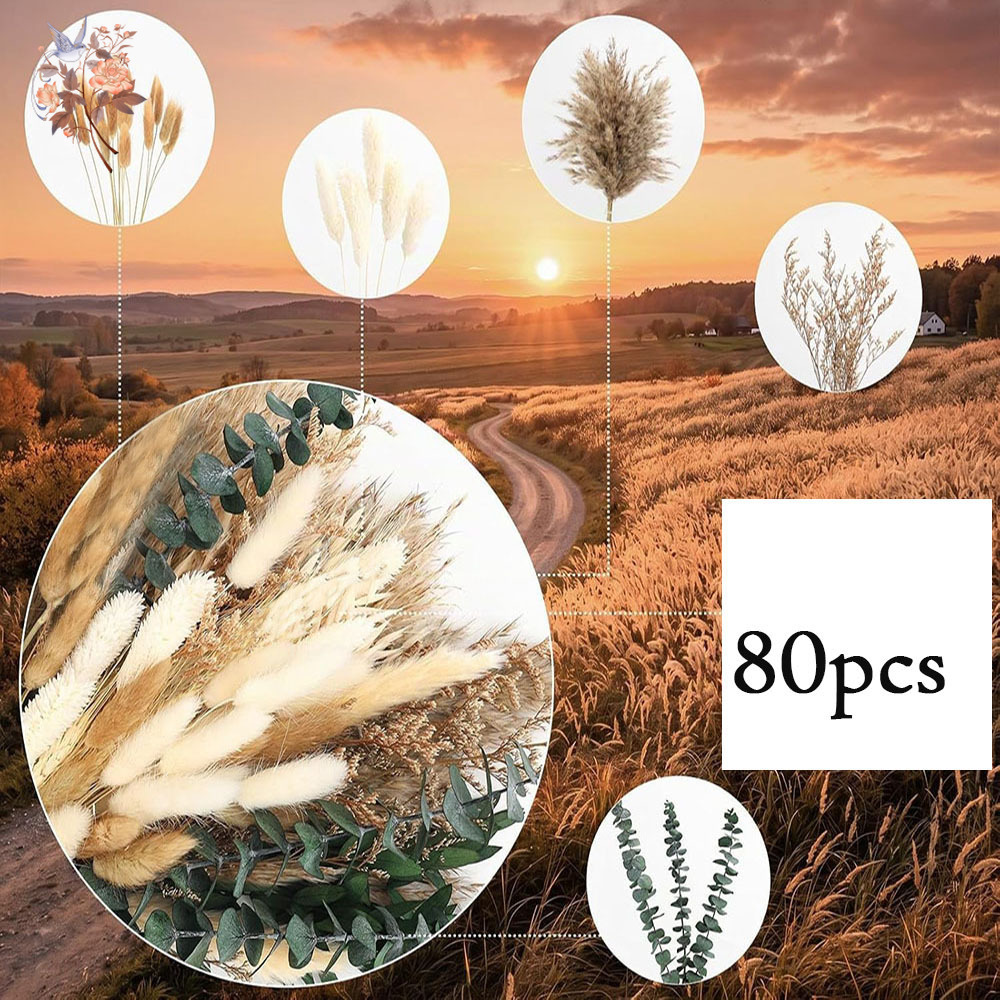 80 peças de flores secas natur - Eucalyptus Preserved avaliação e preço