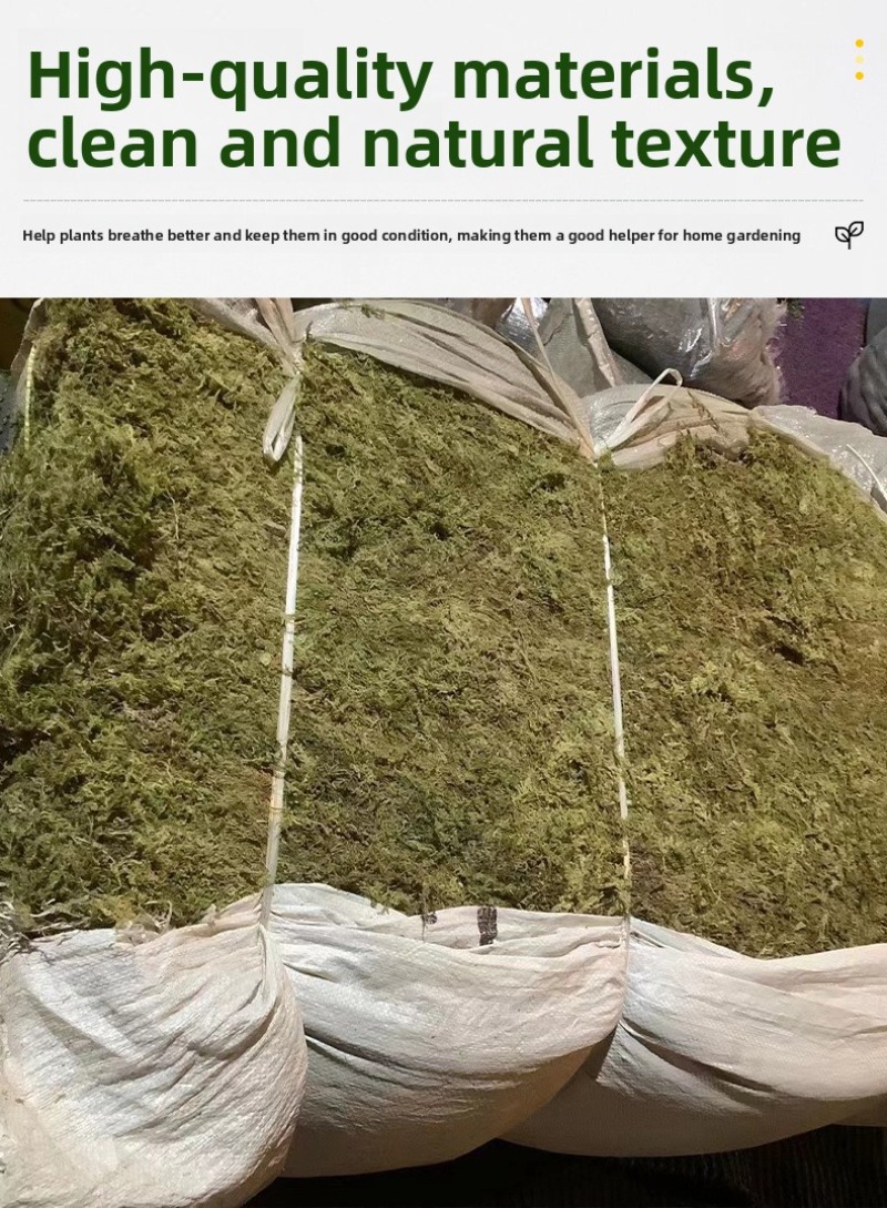 Musgo Seco Natural para Terrár - Preserved Moss Sheet avaliação e preço